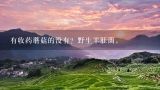 有收药蘑菇的没有？野生羊肚菌，,农村采集的药蘑菇多少钱一斤