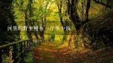 河里的野生鳗鱼一斤多少钱,蒙古国高寒冷水野生乌丝鳗鱼多少钱一斤？