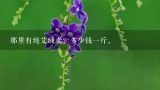 那里有纯艾绒卖？多少钱一斤。,艾绒哪里有卖，多少钱一斤
