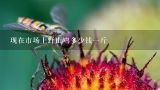 现在市场上野山鸡多少钱一斤,野山鸡多少钱一斤?