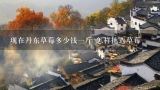 现在丹东草莓多少钱一斤 怎样挑选草莓,丹东草莓多少钱一斤