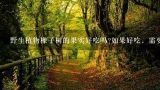 野生植物橡子树的果实好吃吗?如果好吃，需要蒸熟吃还是也可以生吃。谢谢,橡子粉哪里买价格多少