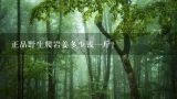 正品野生爬岩姜多少钱一斤？岩姜多少钱一斤