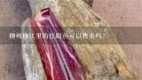 柳州柳江里的红眼鱼可以售卖吗?野生红眼鱼贵吗