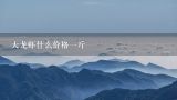 大龙虾什么价格一斤,大龙虾多少钱一斤
