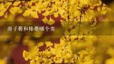 滑子蘑和榛蘑哪个贵,榛子和榛蘑哪个贵