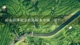 山东菏泽超市的冻虾多少钱一斤？山东菏泽超市的冻虾多少钱一斤？