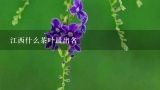 江西什么茶叶最出名,天涯山牌特级靖安白茶，两罐100克，多少钱