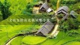 三文鱼金枪鱼北极贝哪个贵,你知道哪些餐饮界的暴利菜品？