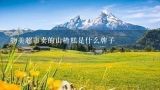 物美超市卖的山楂糕是什么牌子,山楂糕的制作方法详解