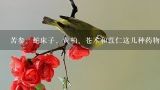 苦参、蛇床子、黄柏、苍术和苡仁这几种药物的价钱贵,贵州哪里收苦参？价格是多少钱一斤？