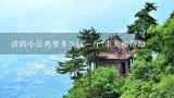 活的小公鸡要多少钱一斤?求大神帮助,圈养小公鸡多少钱一斤
