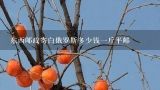 东西邮政寄白俄罗斯多少钱一斤平邮,东西邮政寄白俄罗斯多少钱一斤平邮