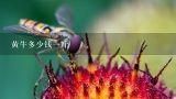 黄牛多少钱一斤,一头成年黄牛大概多少钱？正确谢谢回答