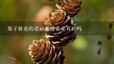 郑子新卖的诺丽果酵素是真的吗,诺丽果干片多少钱一盒