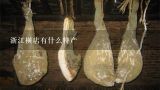 浙江横店有什么特产,大家油酥烧饼大概多重多少钱一个？