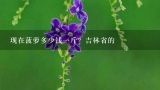 现在菠萝多少钱一斤？吉林省的,现在的菠萝多少钱一斤?