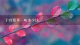 干苜蓿草一吨多少钱,兔子吃的草是什么样子的