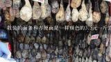 散装的面条和方便面是一样颜色的3.5元一斤这种面条,我已经32岁了，还能够创业开店成功吗？