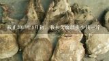 截止2013年8月初，书本卖废纸多少钱一斤,沈阳现在卖废纸多少钱一斤