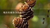 现在的铜多少钱一斤？2015年废铜线剥皮多少钱一斤