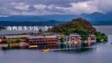 海鸭蛋多少钱一个？鸭蛋一斤多少钱，一斤有几个？