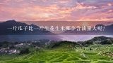 一斤瓜子比一斤生花生米哪个含油量大呢？生花生米多少钱1斤