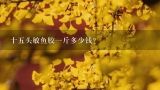 十五头敏鱼胶一斤多少钱？天然敏鱼胶是什么?