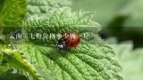 云南三七粉价格多少钱一斤,20头三七粉价格多少钱一斤