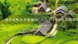 揭穿黄粉虫养殖骗局！！！！！ 实际回收价4元一斤左,什么地方能买到面包虫呢？
