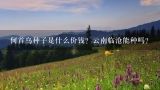 何首乌种子是什么价钱？云南临沧能种吗？何首乌的种子怎么吃？