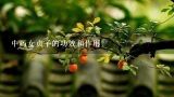 中药女贞子的功效和作用,炒川芎10g、侧柏叶15g、骨碎补15g、红花10g、花椒10g、墨旱莲10g、制何首乌10g、菟丝子15g