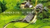 猪肉现在多少钱一斤？排骨呢？现在猪肉价格多少钱一斤？