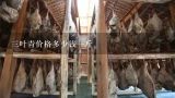 三叶青价格多少钱一斤,三叶青是什么 食疗方法和治病效果