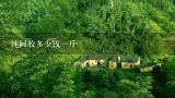 纯阿胶多少钱一斤