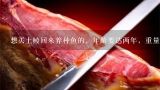 想买土鲮回来养种鱼的，年龄要达两年，重量5到7两一,这是什么鱼，多少钱一斤，好吃吗？