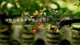 现在的鹿茸多少钱一克？养殖的鹿茸价格？