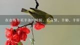 在市场上买羊杂的时候，很奇怪。羊肺、羊肝、羊肠等切好的，8元一斤，而羊肺15元、羊肝和羊肠却更贵，,香辣羊肺的做法