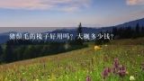 猪鬃毛的梳子好用吗？大概多少钱？猪鬃毛多少钱一斤