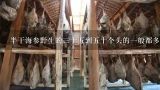 半干海参野生的三十五到五十个头的一般都多少钱一斤？俄罗斯拿回来的。