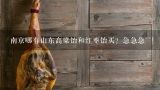 南京哪有山东高粱饴和红枣饴买？急急急~~！！,青岛有什么特产和特色小吃？