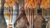 活肉兔多少钱一斤？