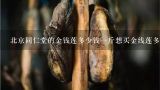 北京同仁堂的金钱莲多少钱一斤想买金线莲多少钱斤,野生金线莲多少钱一斤，金线莲种子多少钱一斤