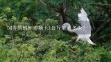 饲养的蚂蚱市场上1公斤能卖多少?蝗虫的天敌是什么？