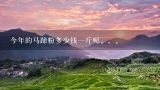 今年的马蹄粉多少钱一斤呢。。。,湛江哪里或哪个商场；超市有散装马蹄粉有得卖呢？？多少钱一斤呢？？知道的请告诉我吧！谢谢！！