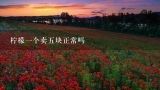 柠檬一个卖五块正常吗