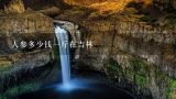 人参多少钱一斤在吉林,吉林鲜人参多少钱一斤？