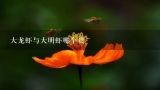 大龙虾与大明虾哪个贵