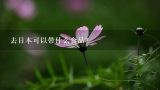 去日本可以带什么食品？日本的物价水平如何？10元人民币在日本能干什么？