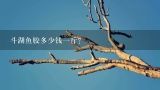 斗湖鱼胶多少钱一斤？鱼胶的价格一般多少钱一斤？